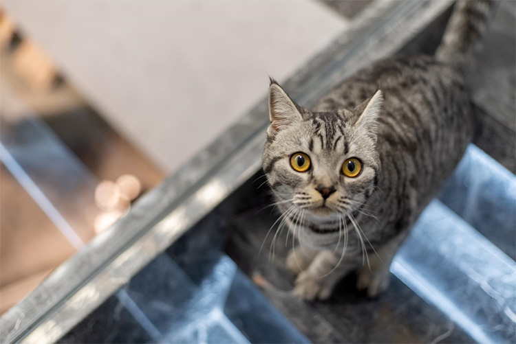 QQ截圖20220103151144